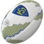 Ballon supporter Clermont