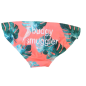 BUDGY SMUGGLER PECHE PARFAITE