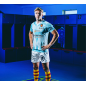 MAILLOT DOMICILE USAP (sans sponsors) 2023/2024