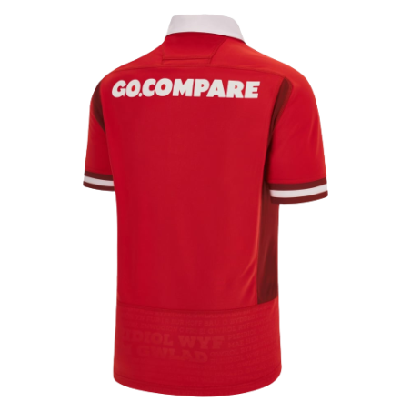 MAILLOT PAYS DE GALLES 2023/2024