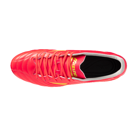 MORELIA NEO IV PRO