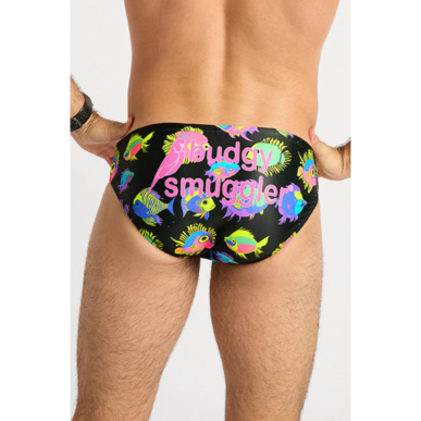 BUDGY SMUGGLER Poissons Loupiotes