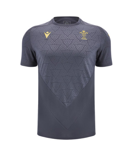 Maillot Entrainement WRU Pays de Galles Gris 2024-2025