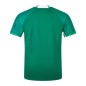 Maillot Irlande Adulte Vert 2024-2025