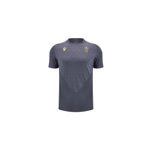 Maillot Officiel d'Entraînement WRU Pays de Galles Gris 2024-2025