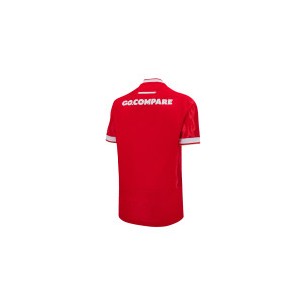 Maillot Domicile WRU Pays de Galles 2024-2025