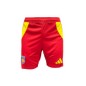 Short Adidas USAP Adulte 2024-2025