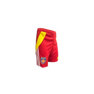 Short Adidas USAP Adulte 2024-2025