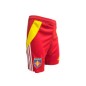 Short Adidas USAP Adulte 2024-2025