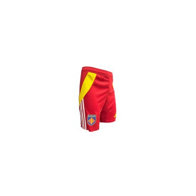 Short Adulte Adidas USAP 2024-2025