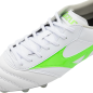 Morelia II Pro