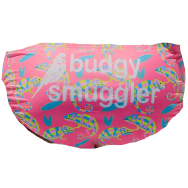Busgy smuggler cameleons