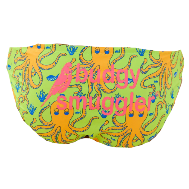 Budgy smuggler octopus pieuvre vert