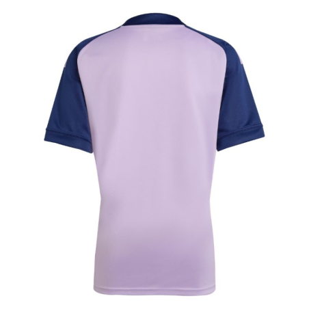 Maillot d'entrainement XV de France Violet