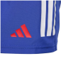 Short Exterieur Replica Bleu XV de France Adidas 2025/2026 Short Exterieur Replica Bleu XV de France Adidas 2025/2026