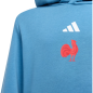 Sweat à capuche enfant XV de France junior