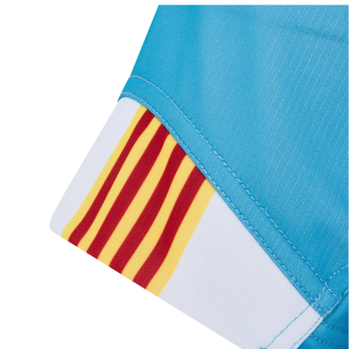 Maillot USAP domicile Performance officiel rugby